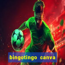 bingotingo canva pro gratis